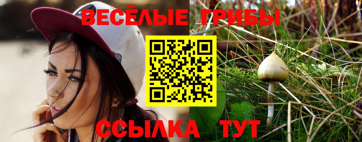 Псилоцибиновые грибы Cubensis  Вход с VPN  Псилоцибиновые грибы Magic Shrooms  Фурманов 