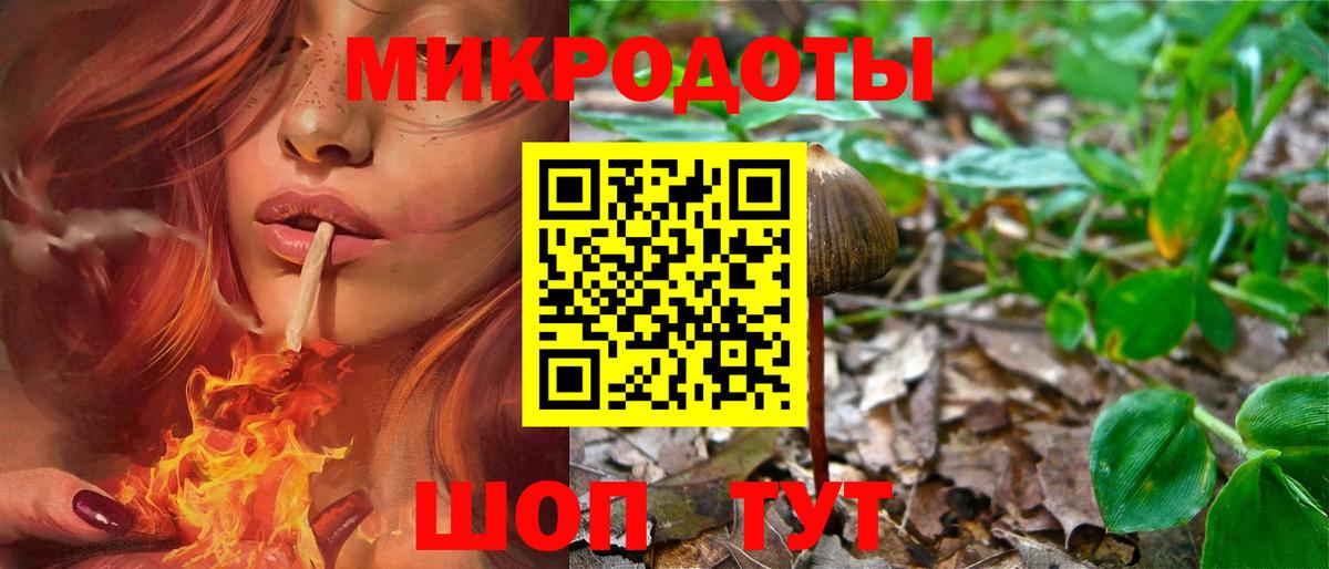 Галлюциногенные грибы прущие грибы Фурманов
